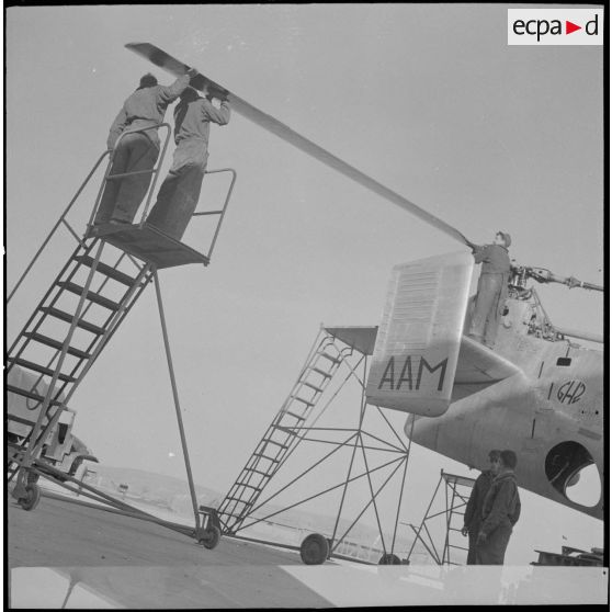 Le groupe d'hélicoptères n° 2 à Aïn-Arnat. [Description en cours]