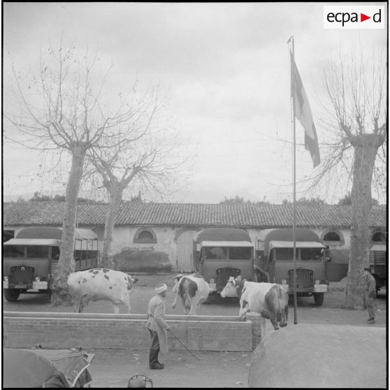 Environs du camp d’Erlon. [Description en cours]