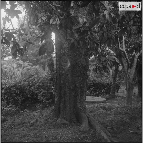 Environs du camp d’Erlon. [Description en cours]