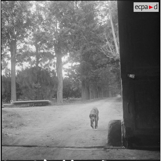 Environs du camp d’Erlon. [Description en cours]