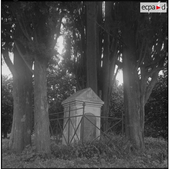 Environs du camp d’Erlon. [Description en cours]