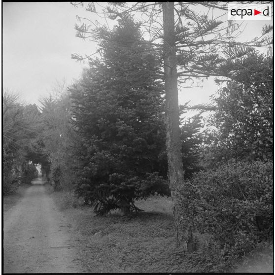 Environs du camp d’Erlon. [Description en cours]