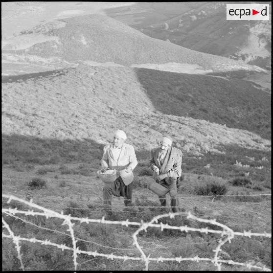 Inspection au 2e RD et opération dans le djebel de Ben-Norah.