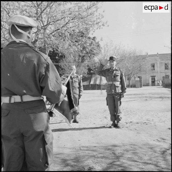 Inspection au 2e RD et opération dans le djebel de Ben-Norah.