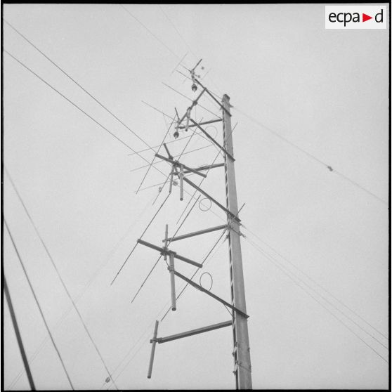 Activité du réseau postal militaire. [Description en cours]