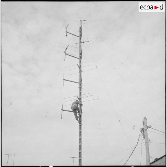 Activité du réseau postal militaire. [Description en cours]