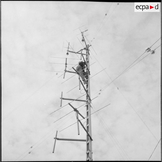 Activité du réseau postal militaire. [Description en cours]