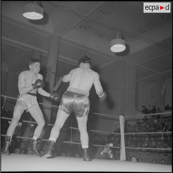 Demi-finale et finale interarmes de boxe d'Afrique du Nord. [Description en cours]