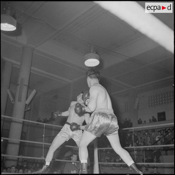 Demi-finale et finale interarmes de boxe d'Afrique du Nord. [Description en cours]