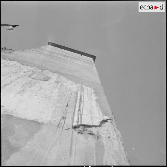 Auto-défense de fermes. [Description en cours]