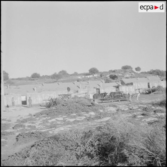 Auto-défense de fermes. [Description en cours]