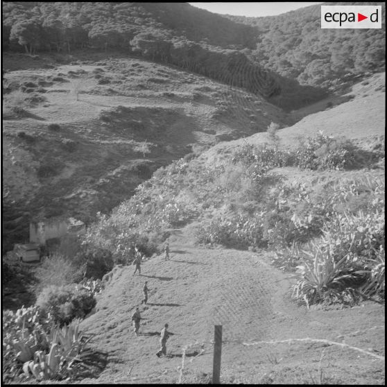 Unités territoriales à Oran. [Description en cours]