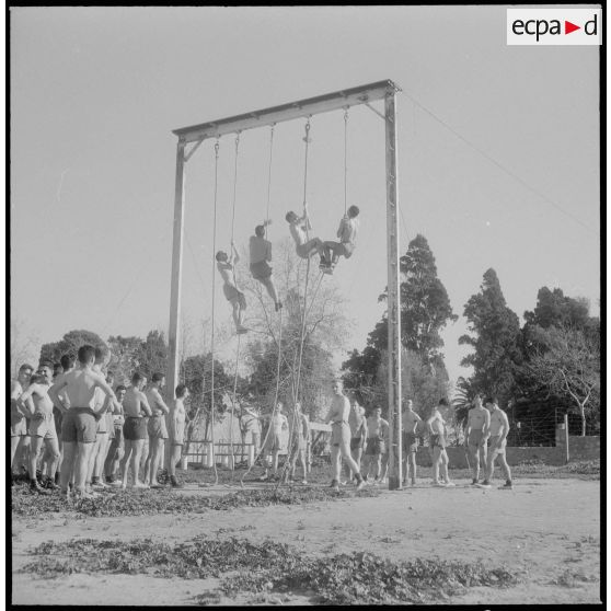 Instruction militaire et entraînement sportif. [Description en cours]