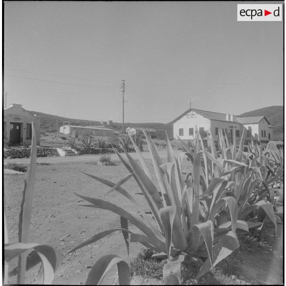 Une église d'Algérie. [Description en cours]