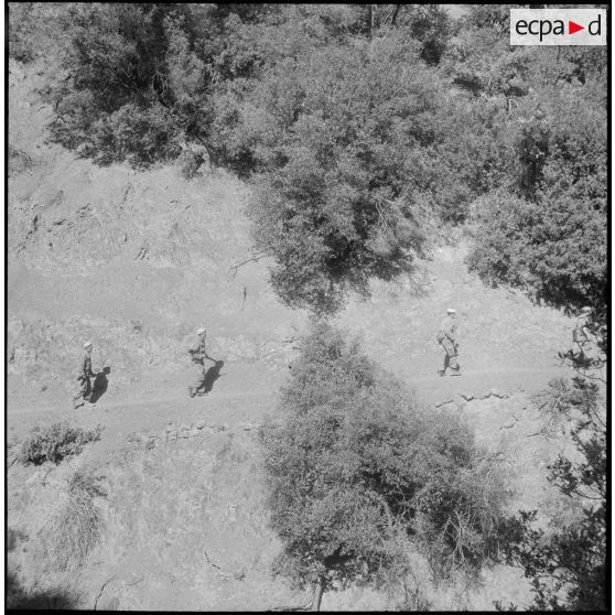 Le 22e RI et sa harka. [Description en cours]