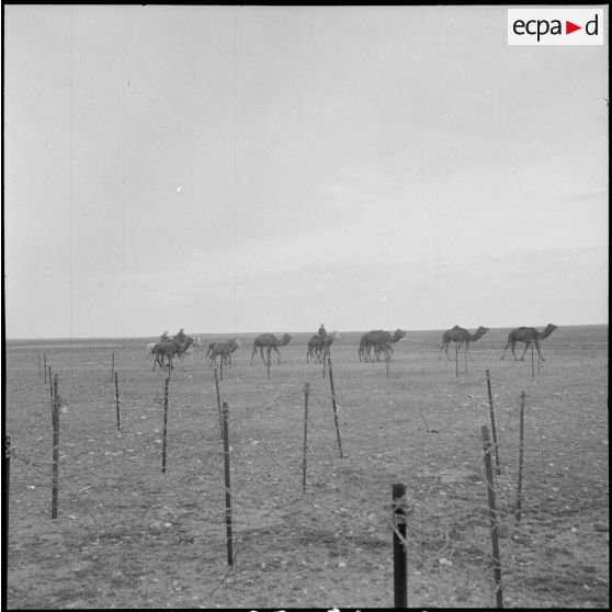 Travaux d'aménagement défensif. [Description en cours]