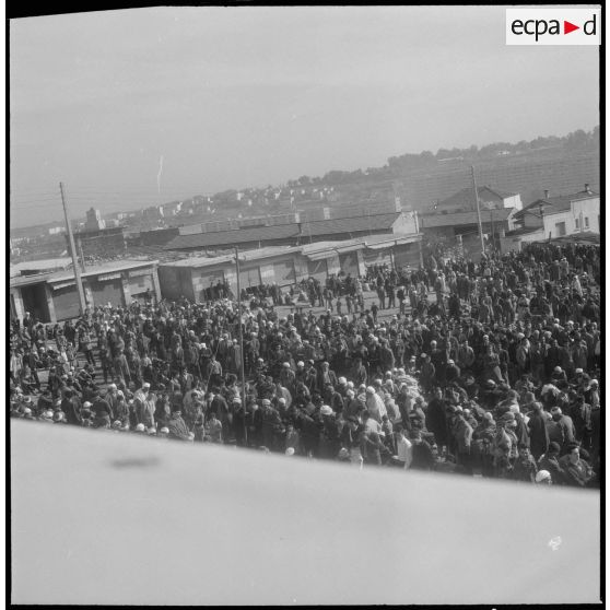 Réunion d'Action Psychologique à Maison-Carrée. [Description en cours]