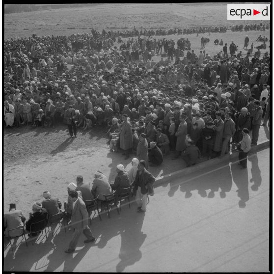 Réunion d'Action Psychologique à Maison-Carrée. [Description en cours]