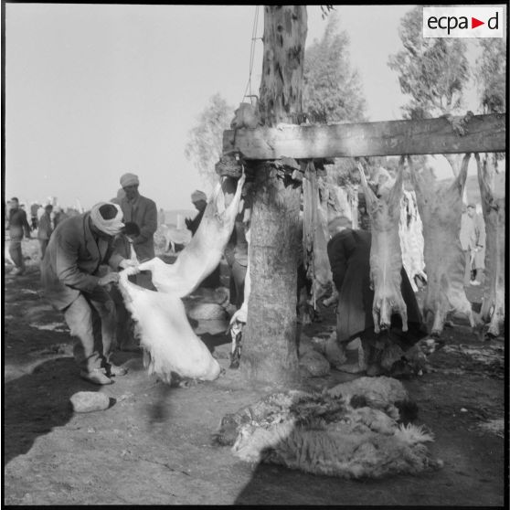 Action psychologique et aide médicale à des populations. [Description en cours]