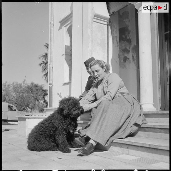 Action psychologique et aide médicale à des populations. [Description en cours]