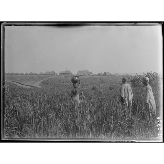 Tibati. Vue générale du poste. [légende d'origine]