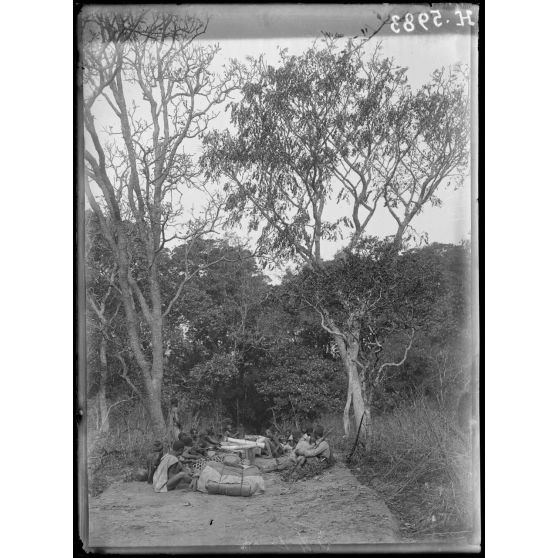Route de Tibati à N'Gaoundéré. Aspect de la route au km 43. [légende d'origine]