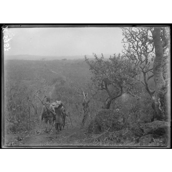 Route de Tibati à N'Gaoundéré. Aspect de la région à 2h au nord de Yamgaye. [légende d'origine]