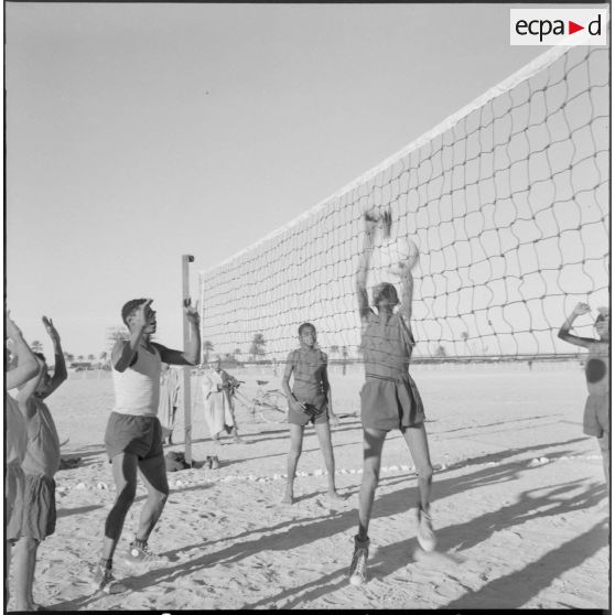 Une partie du Volley-ball.