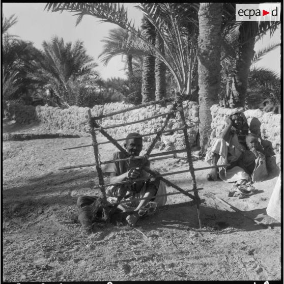 Palmeraies d' El Mansour.