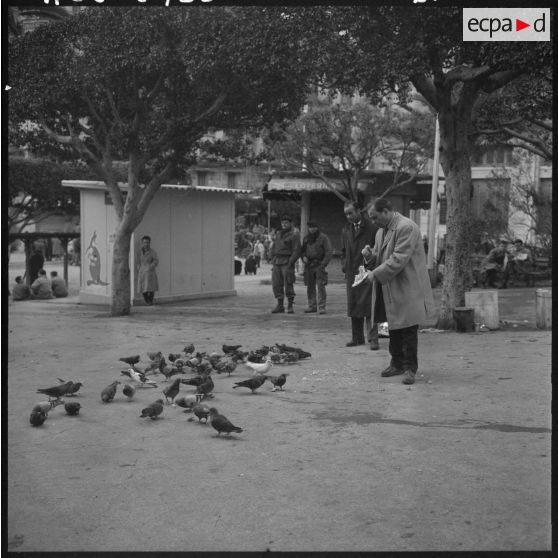 Square du plateau des Gilières, un civil nourrit des pigeons.