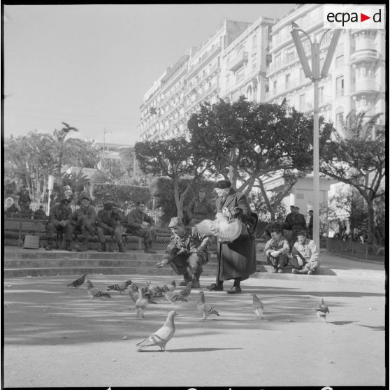 Les pigeons sont nourris, malgré les événements, le 1er février 1960.