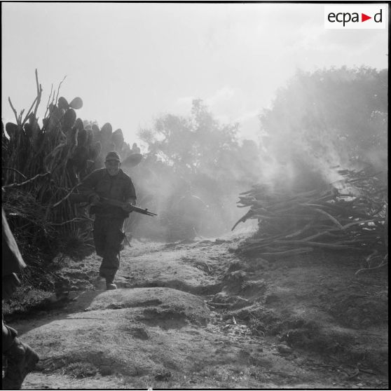 Progression des Harkis.