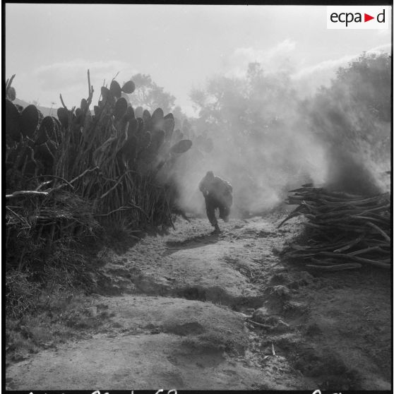 Progression des Harkis.