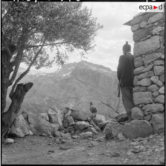 Surveillance des abords du village.