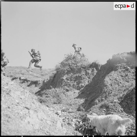 Autodéfense dans le secteur de Dra-el-Mizan.