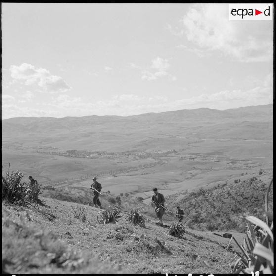 Autodéfense dans le secteur de Dra-el-Mizan.