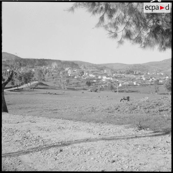 Autodéfense dans le secteur de Dra-el-Mizan.