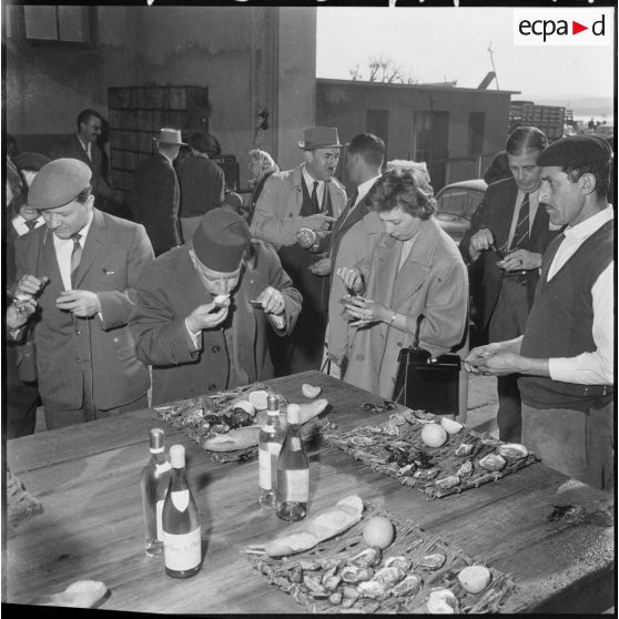 Dégustation d'huîtres et moules.
