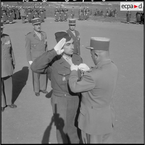 La Légion d'honneur, remit au sergent-chef Olivier, à titre exceptionnel.