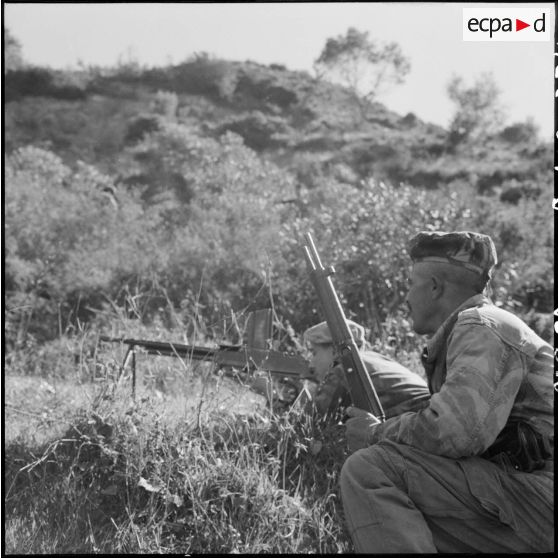 Les harkis patrouillent.