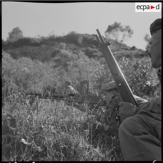 Les harkis patrouillent.