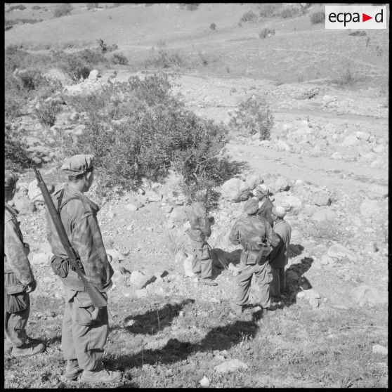 Les harkis patrouillent.