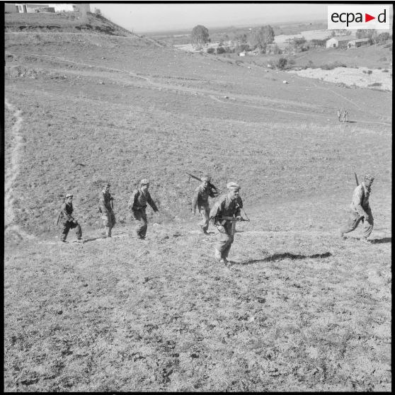 Les harkis patrouillent.