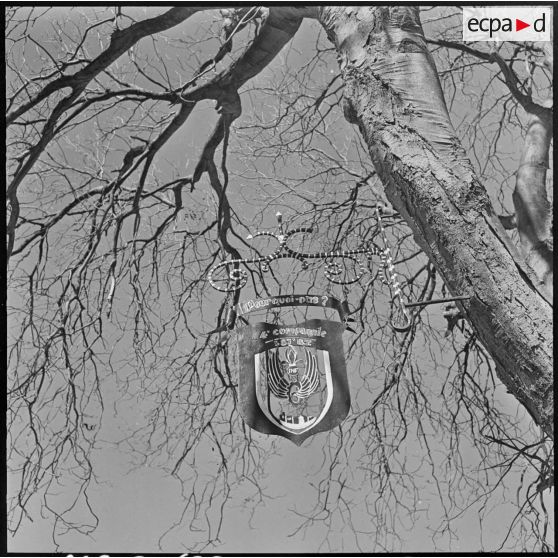 Menerville. La 4e compagnie du 587e bataillon du train (587e BT). Insigne du bataillon.