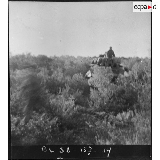 Le 2e régiment de parachutistes coloniaux (2e RPC) à Oued-Malah et Tablat. [Description en cours]