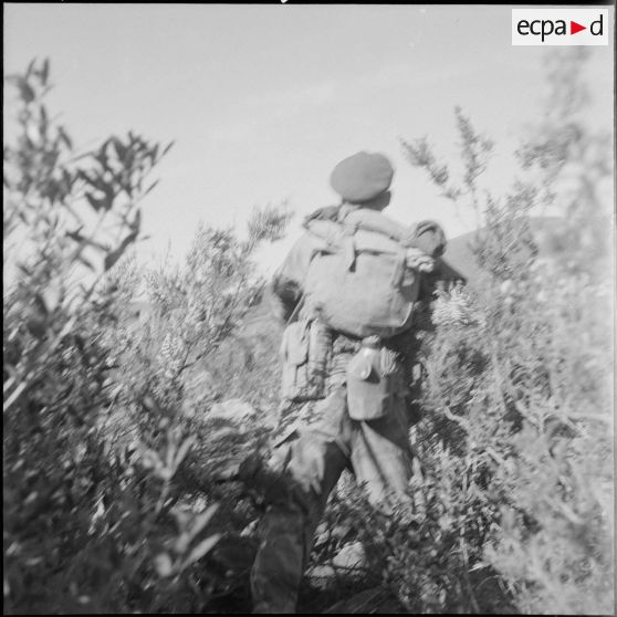 Le 1er REP en opération. [Description en cours]