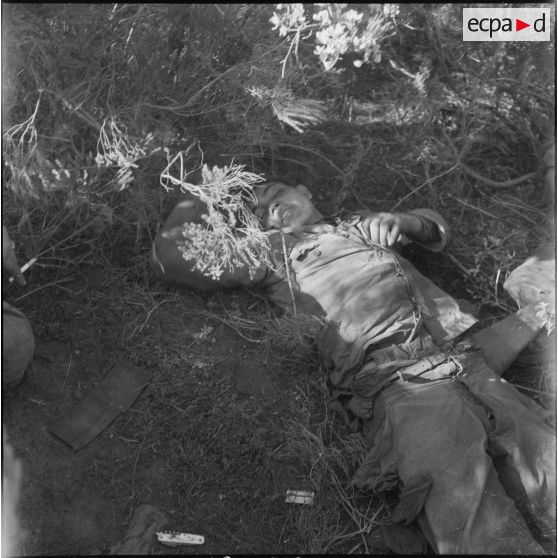 Le 1er REP en opération. [Description en cours]