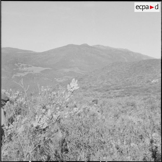 Le 1er REP en opération. [Description en cours]