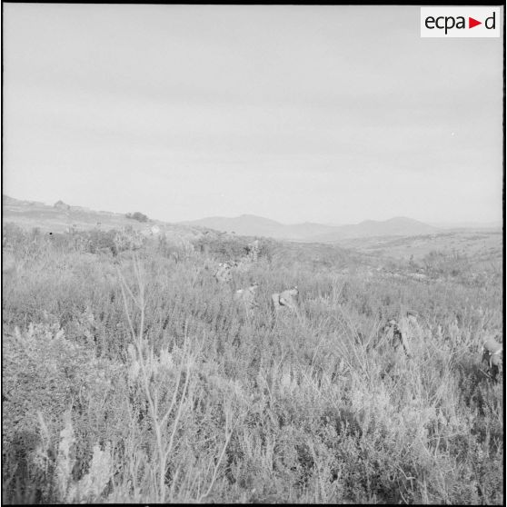 Le 1er REP en opération. [Description en cours]