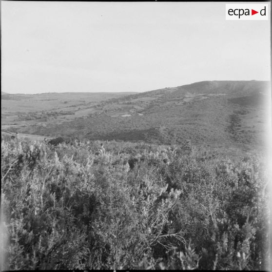 Le 1er REP en opération. [Description en cours]